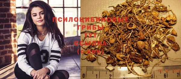 спайс Арсеньев