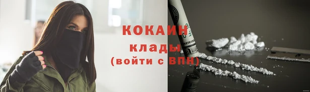 спайс Арсеньев