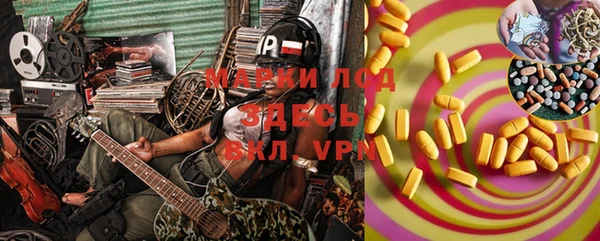 спайс Арсеньев