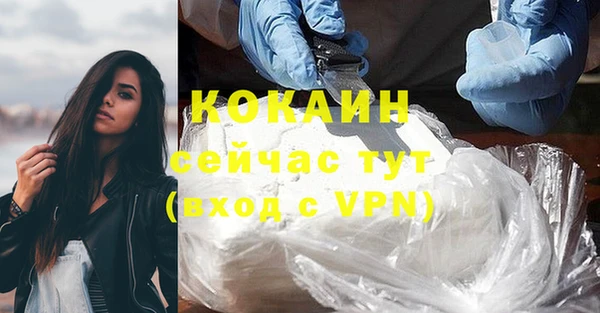 спайс Арсеньев